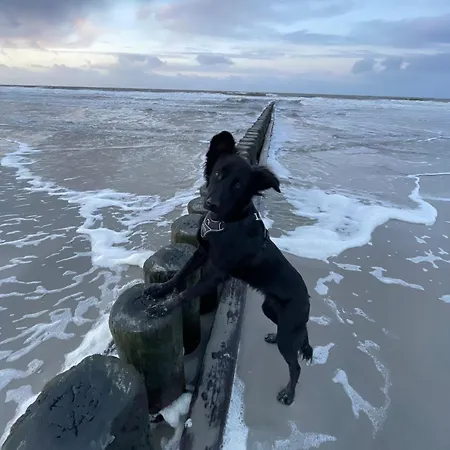 Дом отдыха 1 Nowy Na Wylacznosc Z Jakuzzi Psy Mile Widziane Rewalia Relax Реваль